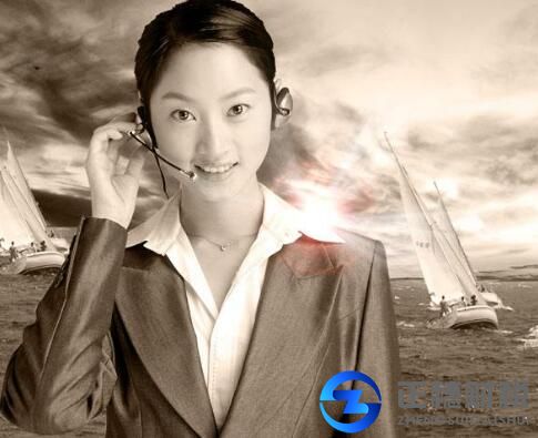 網(wǎng)絡(luò)文化經(jīng)營